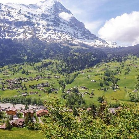 Chalet Aphrodite Ost Daire Grindelwald Dış mekan fotoğraf