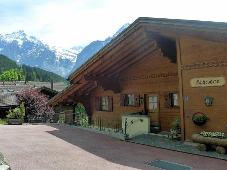 Chalet Aphrodite Ost Daire Grindelwald Dış mekan fotoğraf