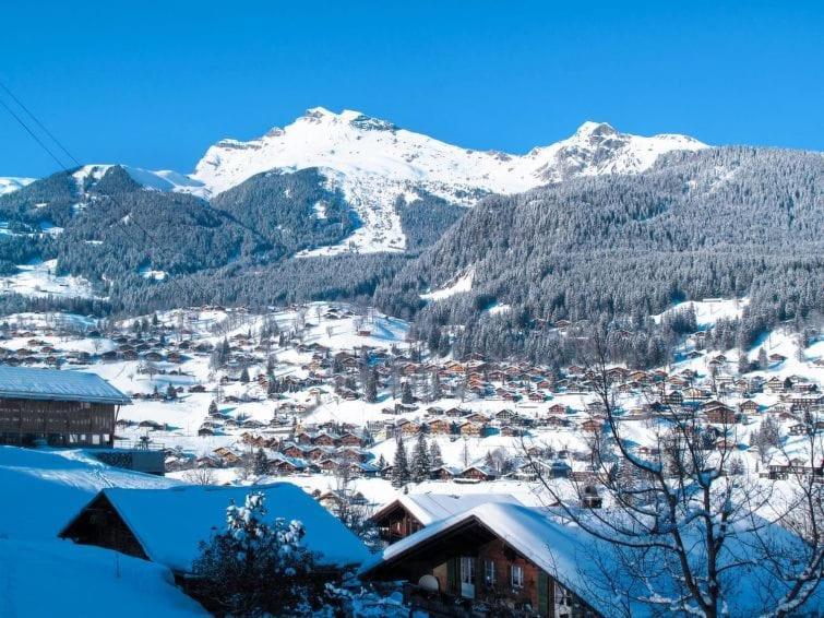 Chalet Aphrodite Ost Daire Grindelwald Dış mekan fotoğraf