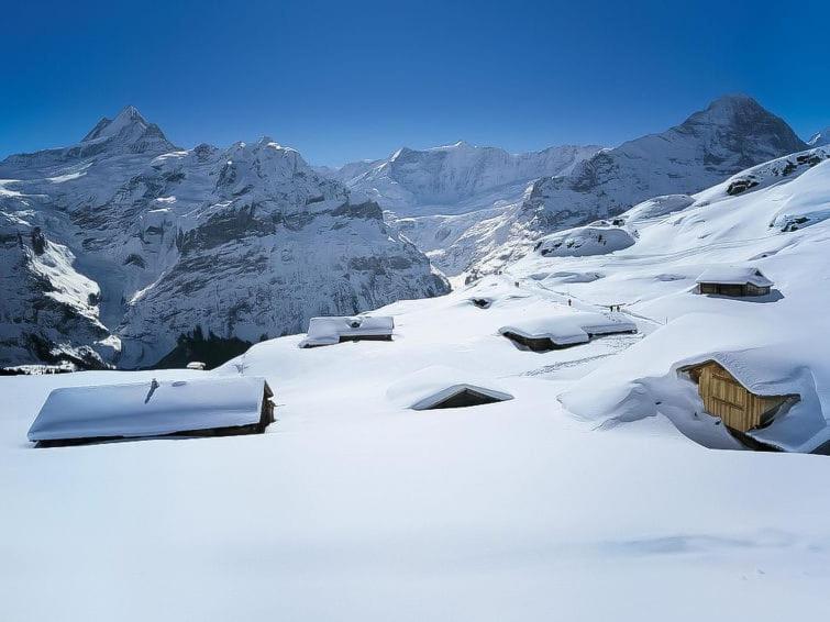 Chalet Aphrodite Ost Daire Grindelwald Dış mekan fotoğraf