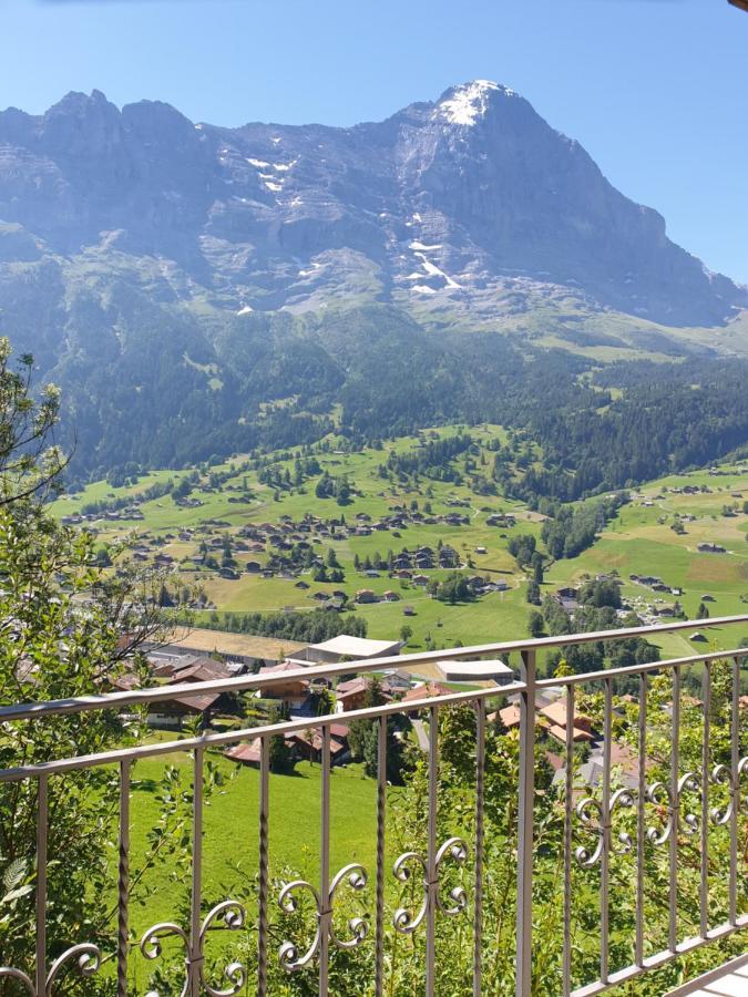 Chalet Aphrodite Ost Daire Grindelwald Dış mekan fotoğraf
